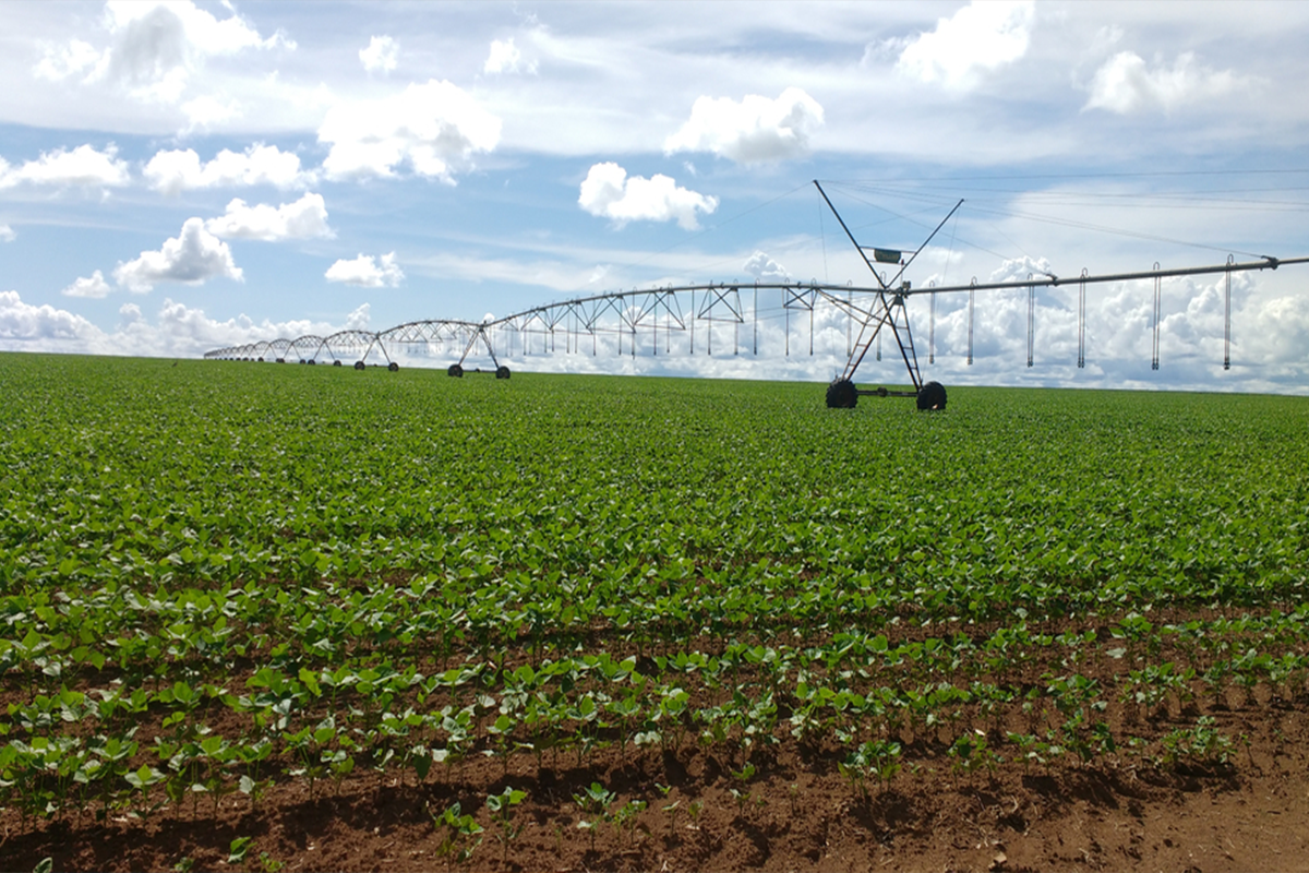 Irrigation Service